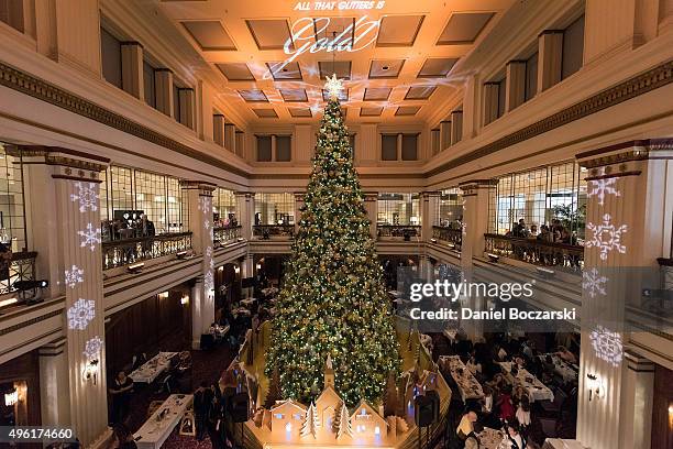 General view of Macy's on State Street 108th Annual Great Tree Lighting Ceremony on November 7 on November 7, 2015 in Chicago, Illinois.