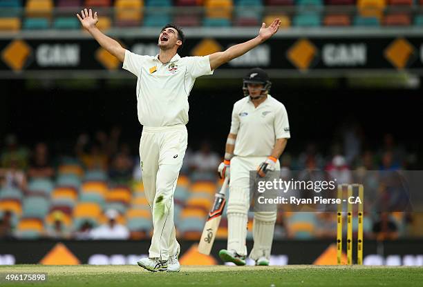 Mitchell Starc of Australia celebrates after taking the wicket of Tom Latham of New Zealand during day four of the First Test match between Australia...