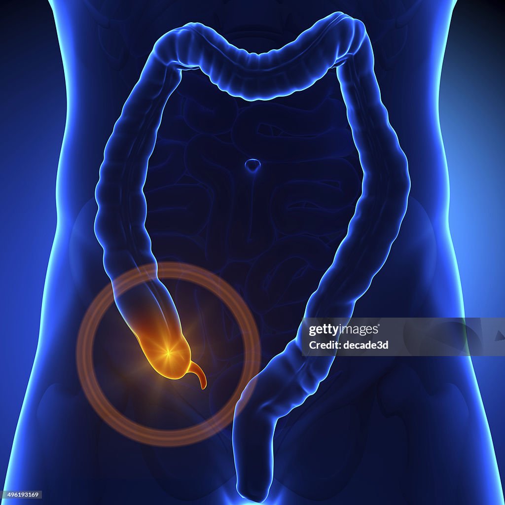 Appendix Pain High Res Stock Photo Getty Images appendix-pain-high-res-stock-photo-getty-images