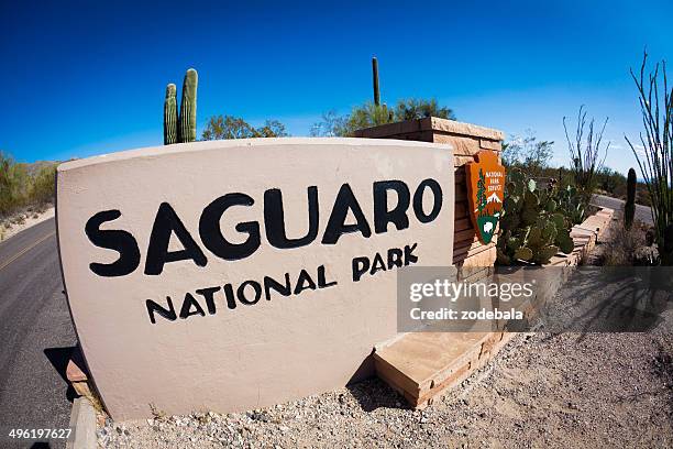 saguardo cactus in national park entrance - saguaro national monument stockfoto's en -beelden