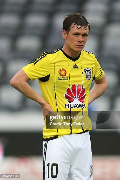 Michael McGlinchey of the Phoenix looks on during the round five A-League match between the Central Coast Mariners and the Wellington Phoenix at...