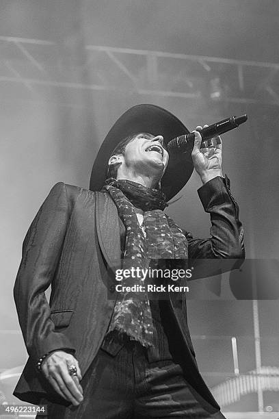 Singer-songwriter Perry Farrell of Jane's Addiction performs onstage during Day 2 of Fun Fun Fun Fest at Auditorium Shores on November 7, 2015 in...