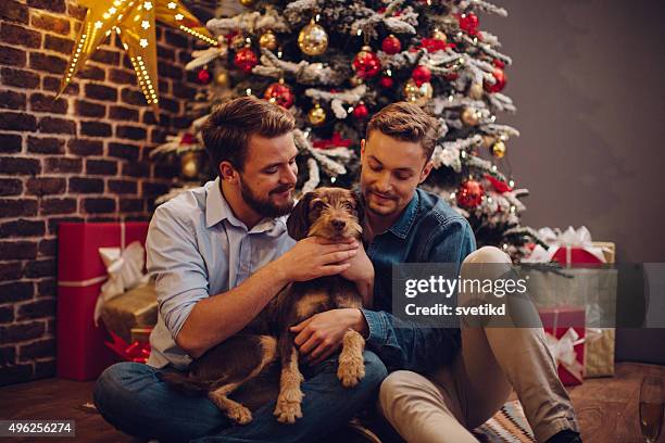 it's the best christmas gift. - dog christmas present stock pictures, royalty-free photos & images