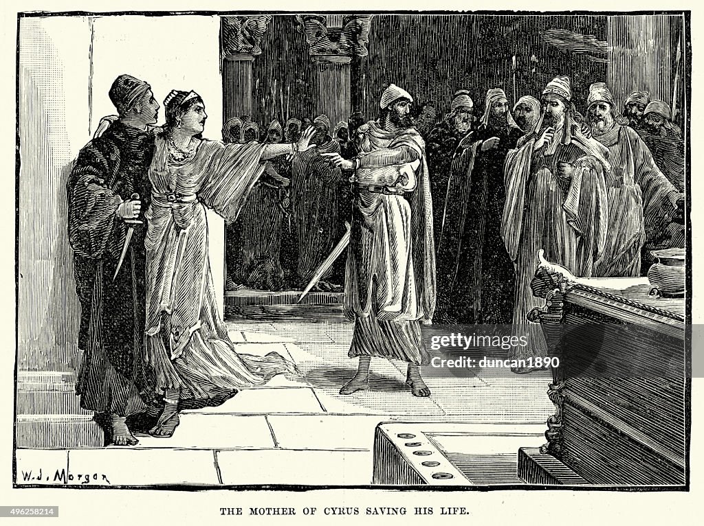 The Mother of Cyrus saving his life
