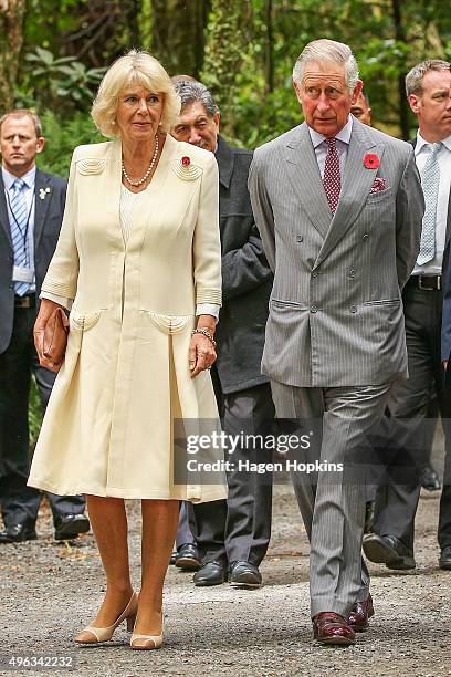 Prince Charles, Prince of Wales, and Camilla, Duchess of Cornwall walk through native bush on their way to the 'Tea With Taranaki' event at...