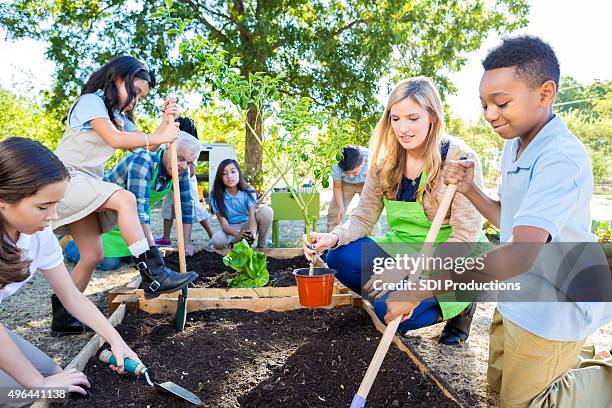 teacher and students gardening during farm field trip - learning environment stock pictures, royalty-free photos & images