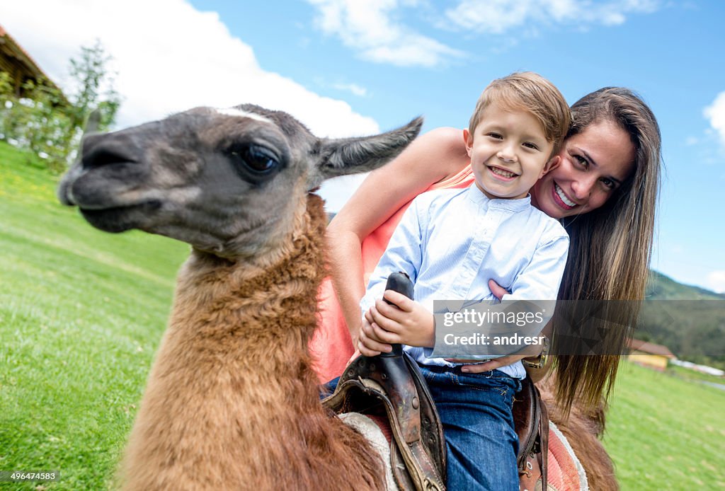 Junge auf einem Lama