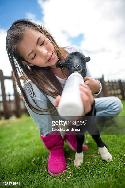 girl feeding a goat - 哺乳瓶 個照片及圖片檔