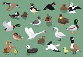 US Ducks Cartoon Vector Illustration