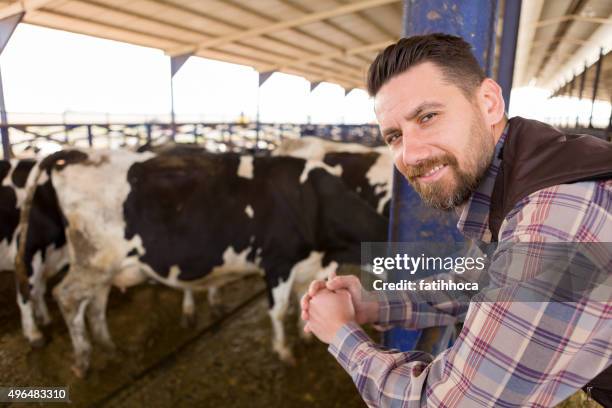 jóvenes agricultor - hereford cattle fotografías e imágenes de stock