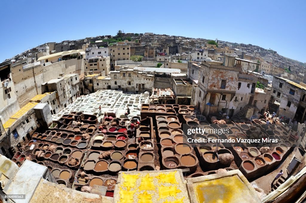 The Chouara Tannery