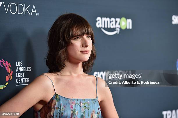 Actress Hari Nef attends the Premiere Of Amazon's 'Transparent' Season 2 at SilverScreen Theater at the Pacific Design Center on November 9, 2015 in...