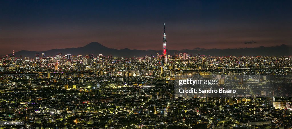 Tokyo skyline at night panorama w