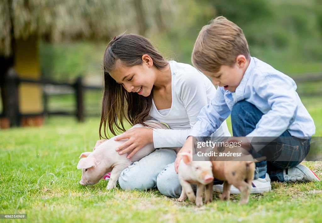 Kinder spielen mit Ferkel