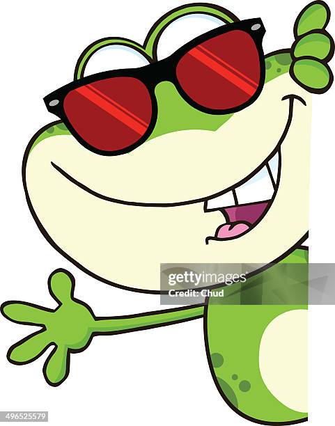 frog with sunglasses looking around a blank sign - funny frog stock illustrations