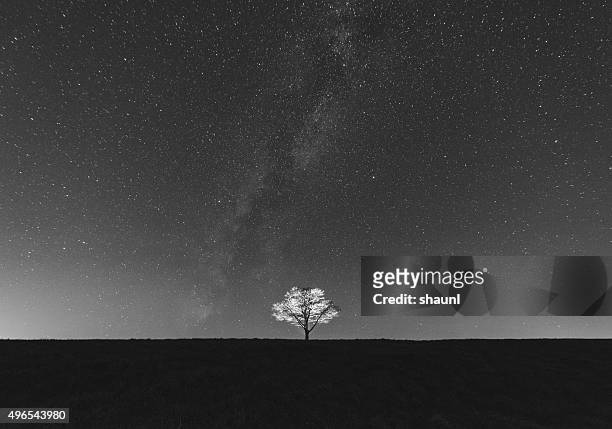 illuminated in night - black and white landscape stock pictures, royalty-free photos & images