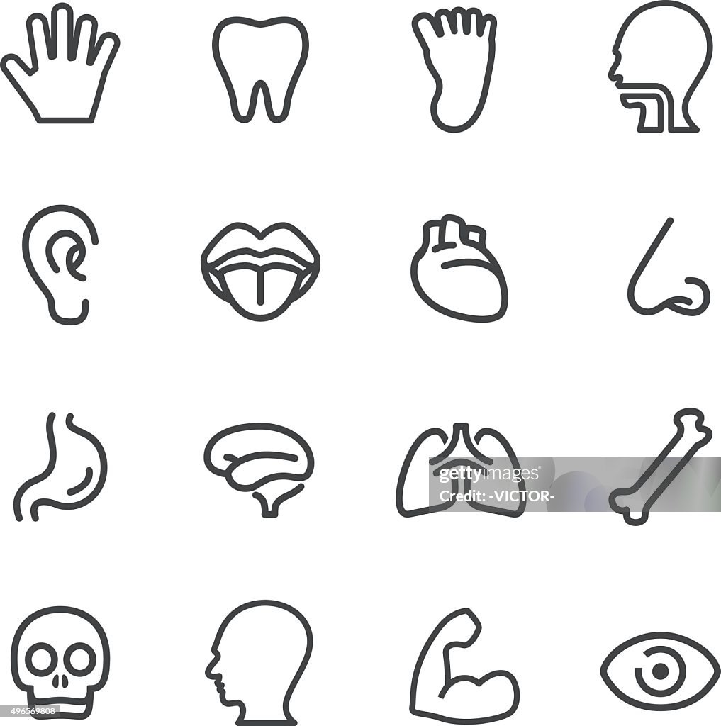 Human Anatomy Icons - Line Series