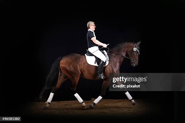 horseback riding - dressage stock pictures, royalty-free photos & images