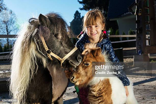 little girl with her pony pets - mare and foal - föl bildbanksfoton och bilder