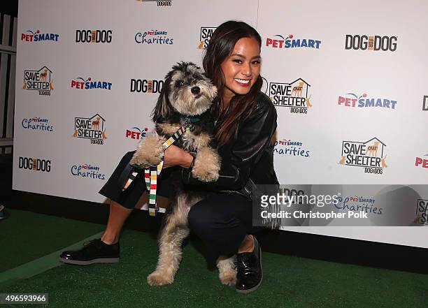 Actress Jamie Chung and her rescue dog Ewok attend the launch of DOG for DOG movement -- Buy One Give One to help feed animals in need at The Amanda...