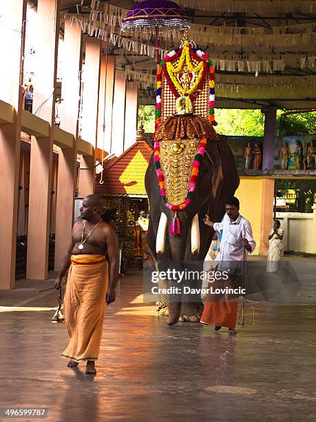 templo de ceremonia - kerala elephants fotografías e imágenes de stock