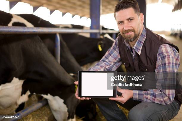 young farmer and digital tablet - livestock show stock pictures, royalty-free photos & images