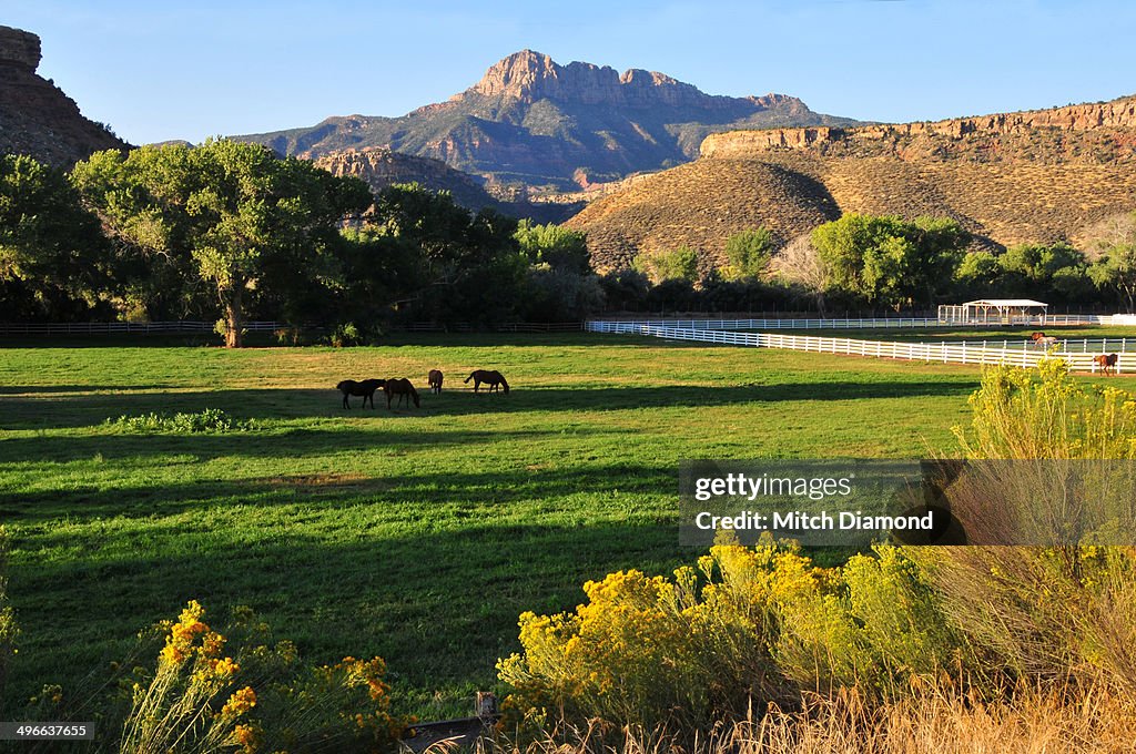 Pasture lands