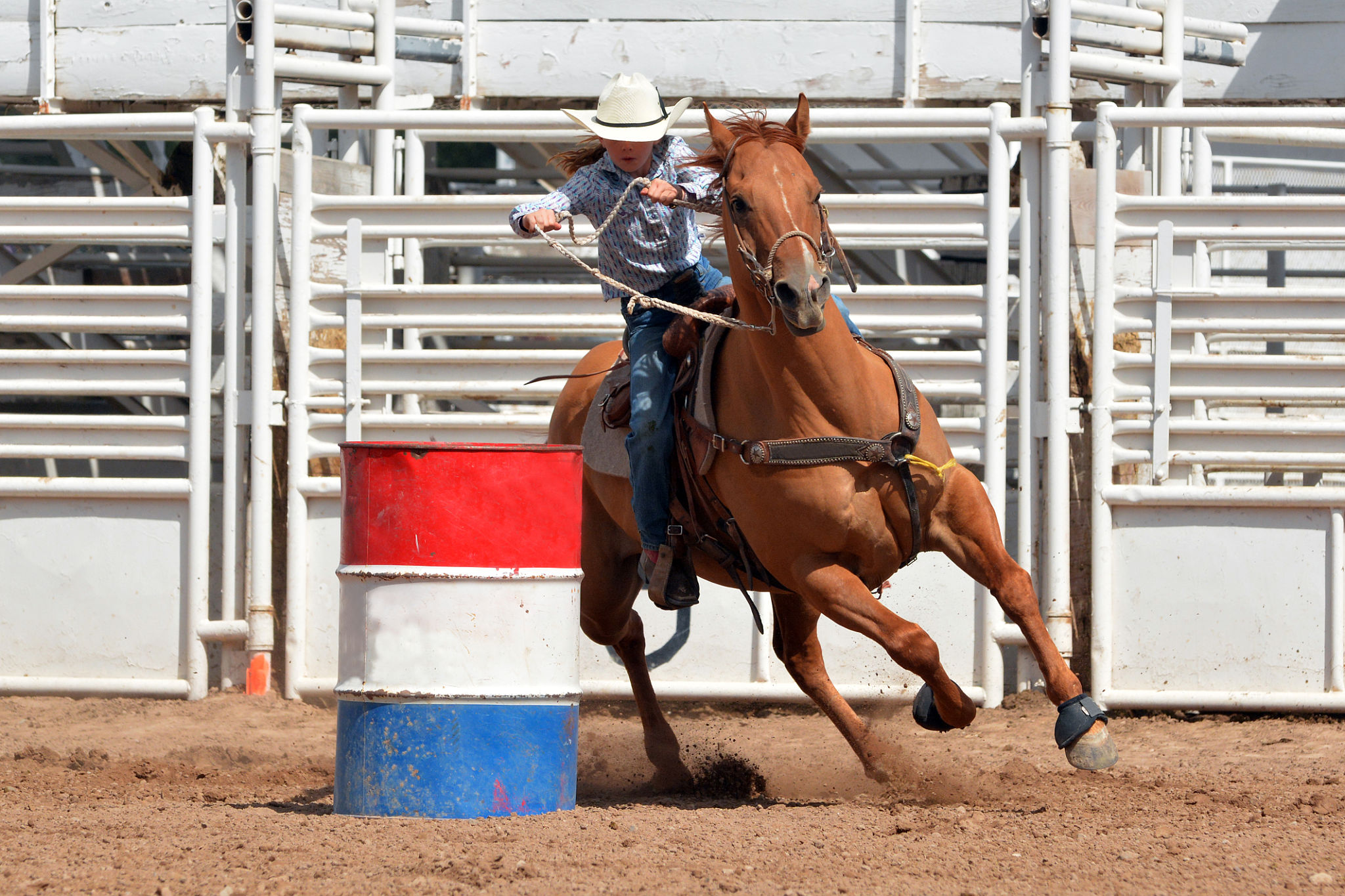Young Cowgirl Barrel Racing Young Cowgirl Barrel Racing