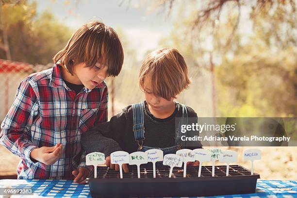 young gardeners - alleen jongens stockfoto's en -beelden