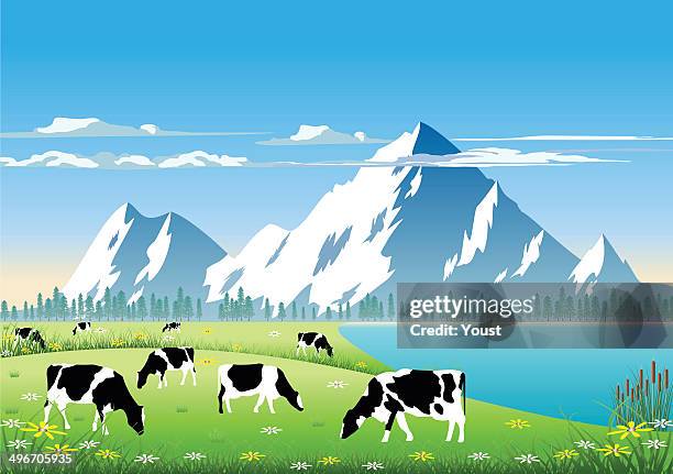 ilustraciones, imágenes clip art, dibujos animados e iconos de stock de montaña pasture - domestic cattle
