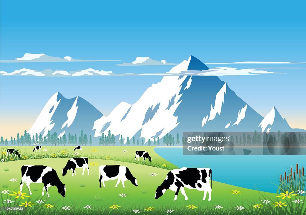 Mountain Pasture