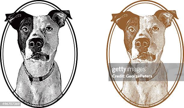 vintage dog - old faithful stock illustrations