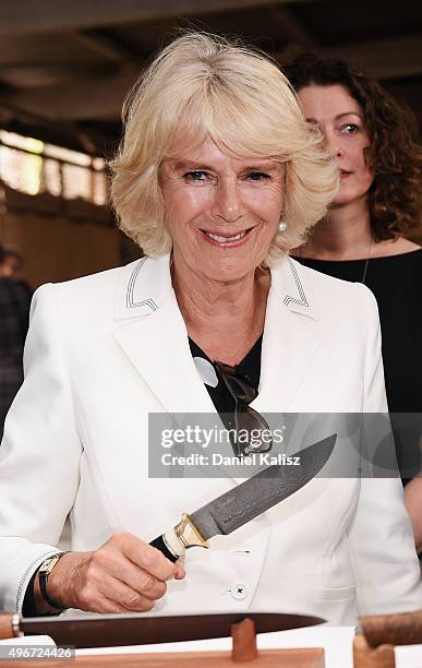 Prince Charles, Prince of Wales and Camilla, Duchess of Cornwall visit Seppeltsfield Winery on November 10, 2015 in Barossa Valley, Australia. The...