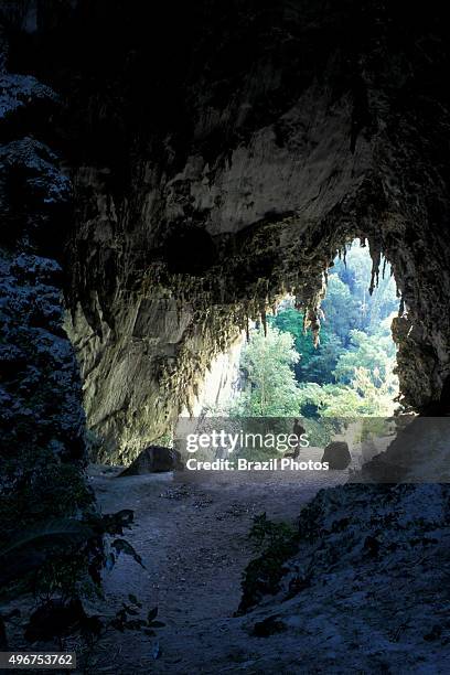 Temimina cave in PETAR - Parque Estadual Turistico do Alto Ribeira in Sao Paulo State, Brazil.