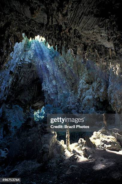 Temimina cave in PETAR - Parque Estadual Turistico do Alto Ribeira in Sao Paulo State, Brazil.