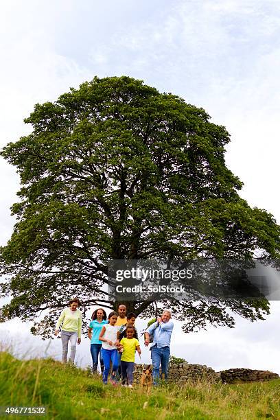 family at sycamore gap - historic diversity stock pictures, royalty-free photos & images