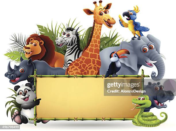 wilde tiere banner mit bambus - zoo stock-grafiken, -clipart, -cartoons und -symbole