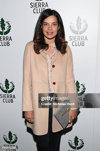 Actress Zuleikha Robinson attends Sierra Club's Act In Paris, A Night Of Comedy And Climate Action at the Heath at the McKittrick Hotel on November...