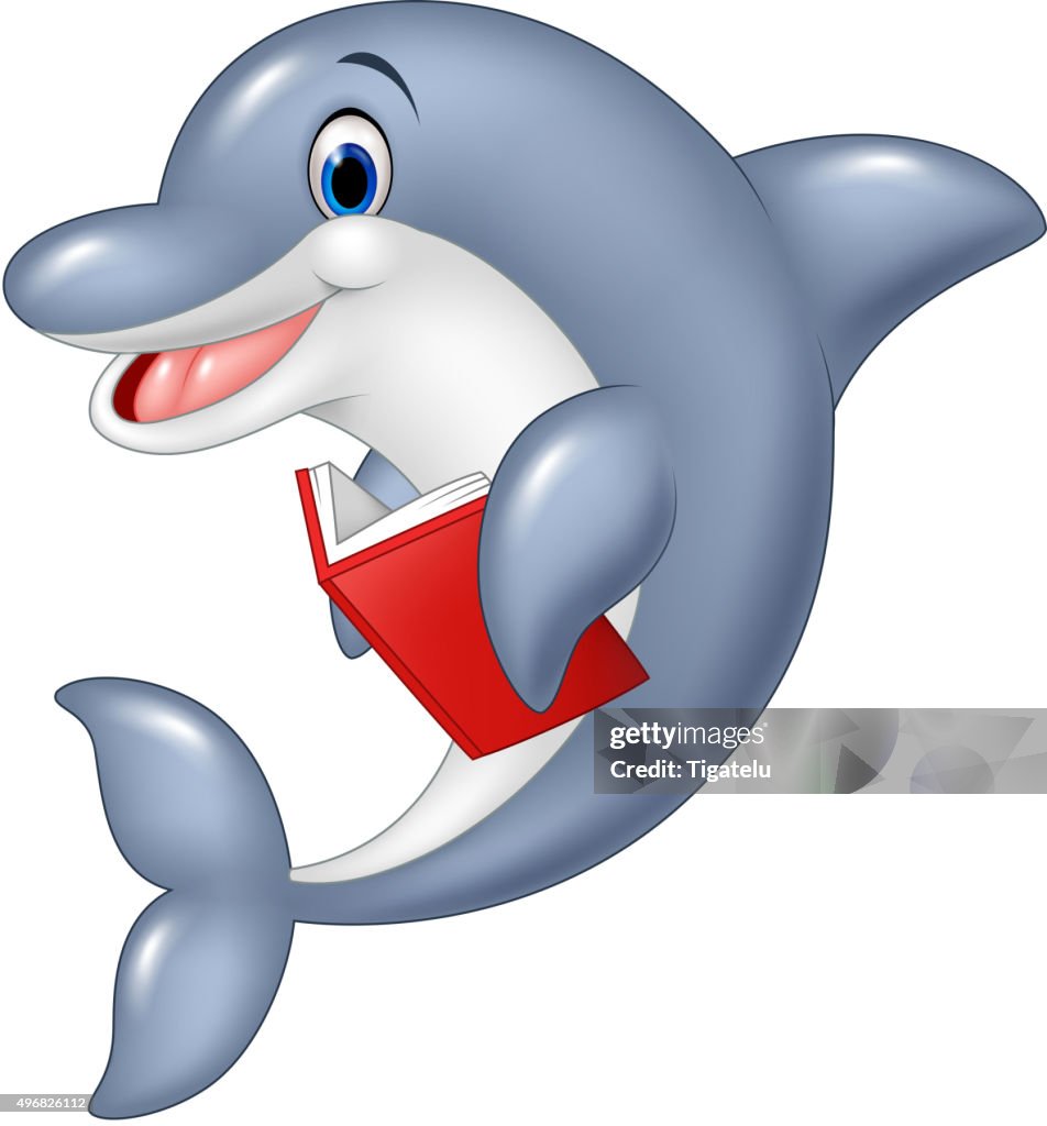 Delfín Libro De Dibujos Animados Sosteniendo Aislado Sobre Fondo Blanco  Ilustración de stock - Getty Images