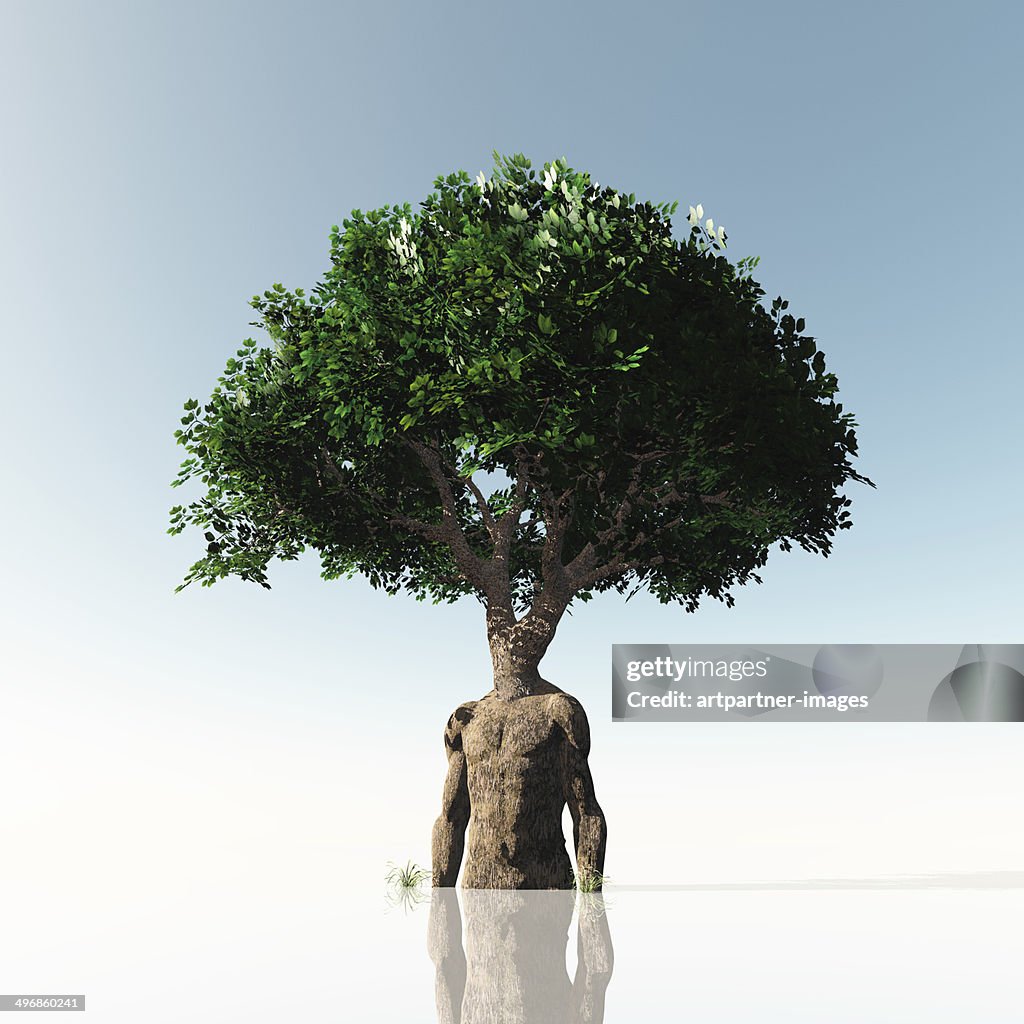 A green tree with a trunk forming a human torso