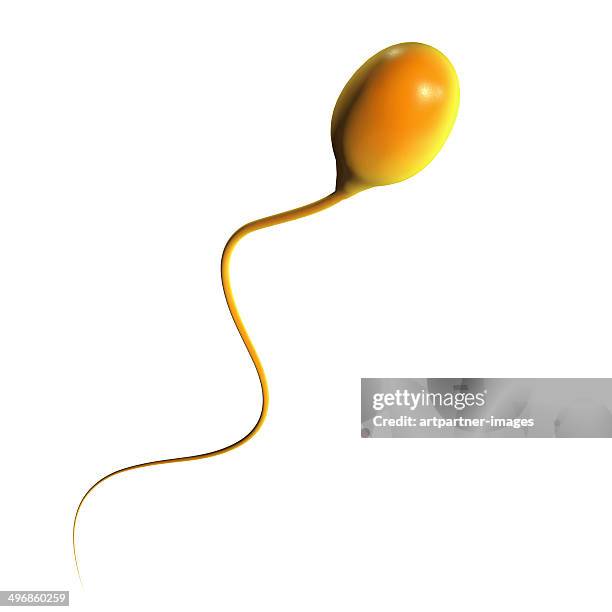 one single sperm on white - sperm stock pictures, royalty-free photos & images