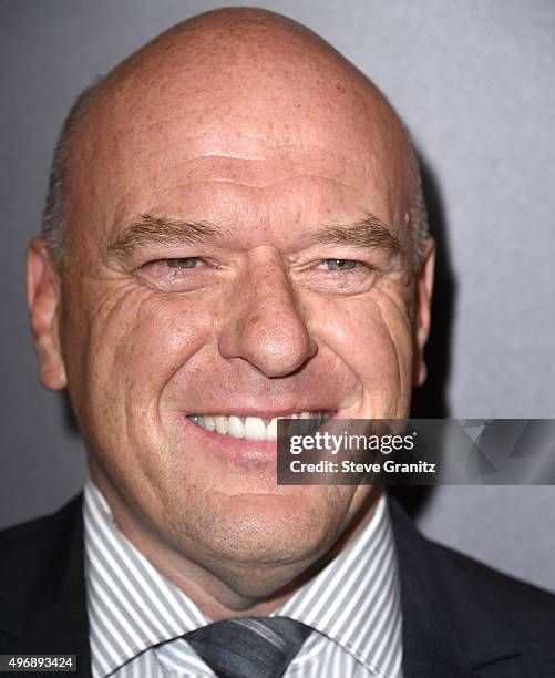 Dean Norris arrives at the Premiere Of STX Entertainment's "Secret In Their Eyes" on November 11, 2015 in Westwood, California.