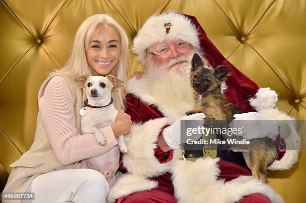 Hollywood couple Jesse Metcalfe, Cara Santana and their pups Shepherd and Dexter pose for the first 'Pet Portrait with Santa' of the season at the...