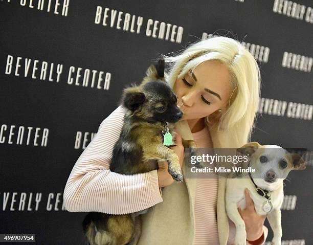 Hollywood couple Jesse Metcalfe, Cara Santana and their pups Shepherd and Dexter pose for the first 'Pet Portrait with Santa' of the season at the...