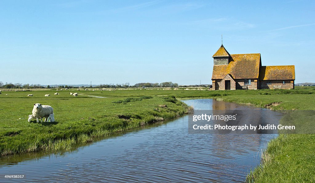 On Romney Marsh
