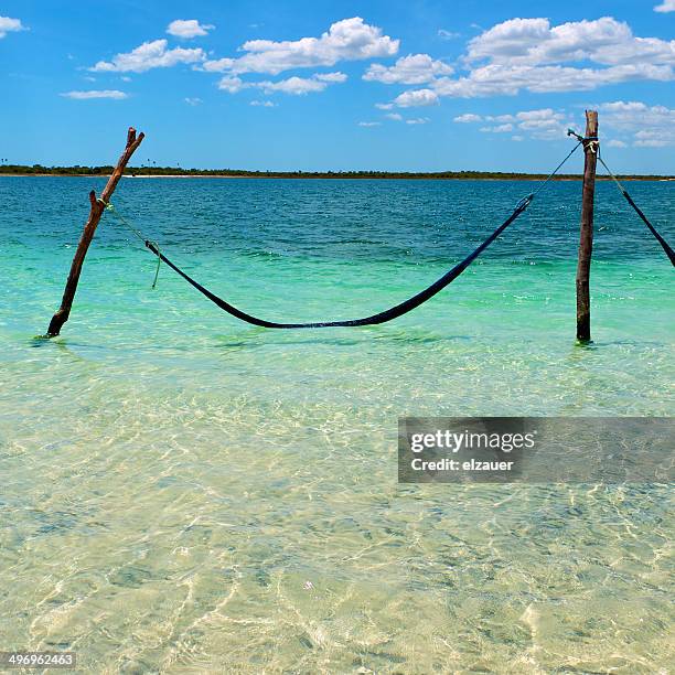 paradise. - jericoacoara beach stock pictures, royalty-free photos & images