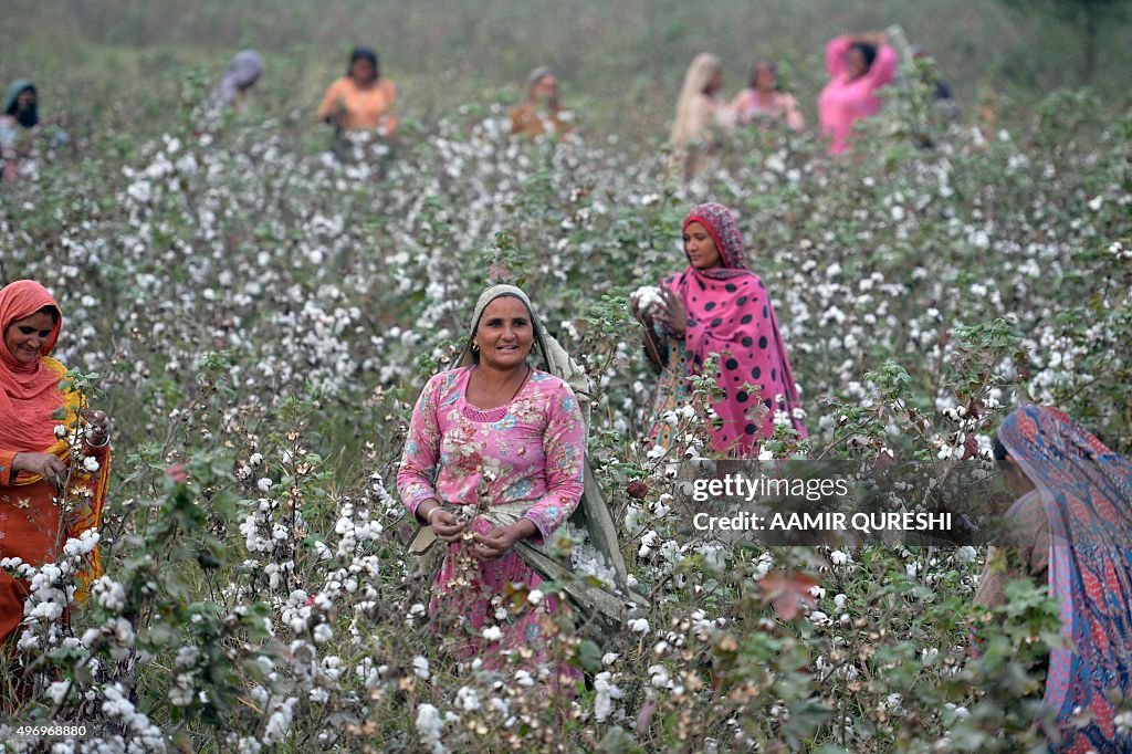 PAKISTAN-ECONOMY-AGRICULTURE-IMF