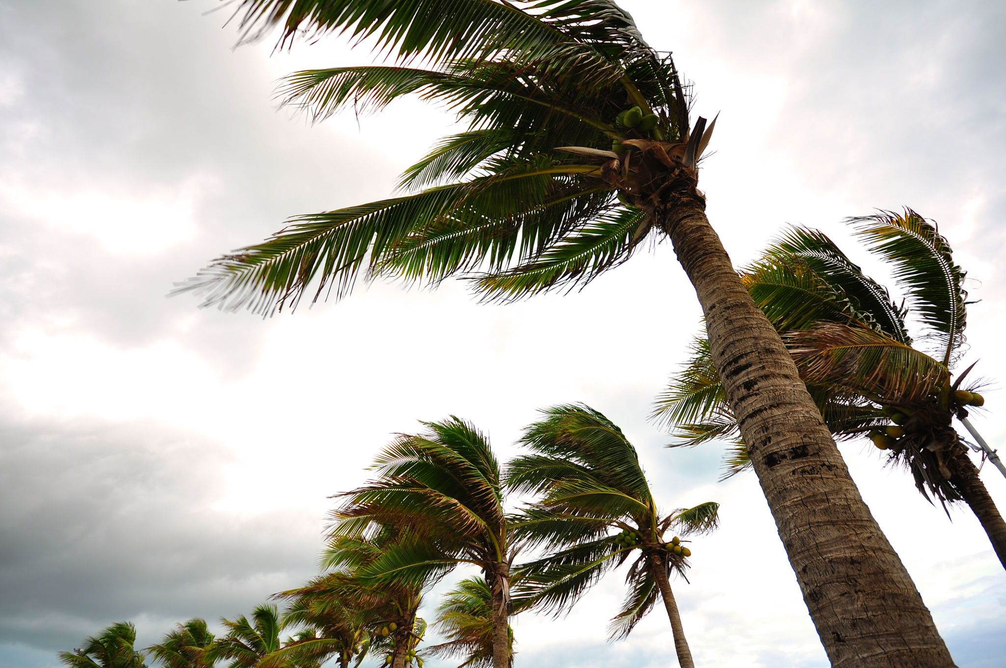 windy day