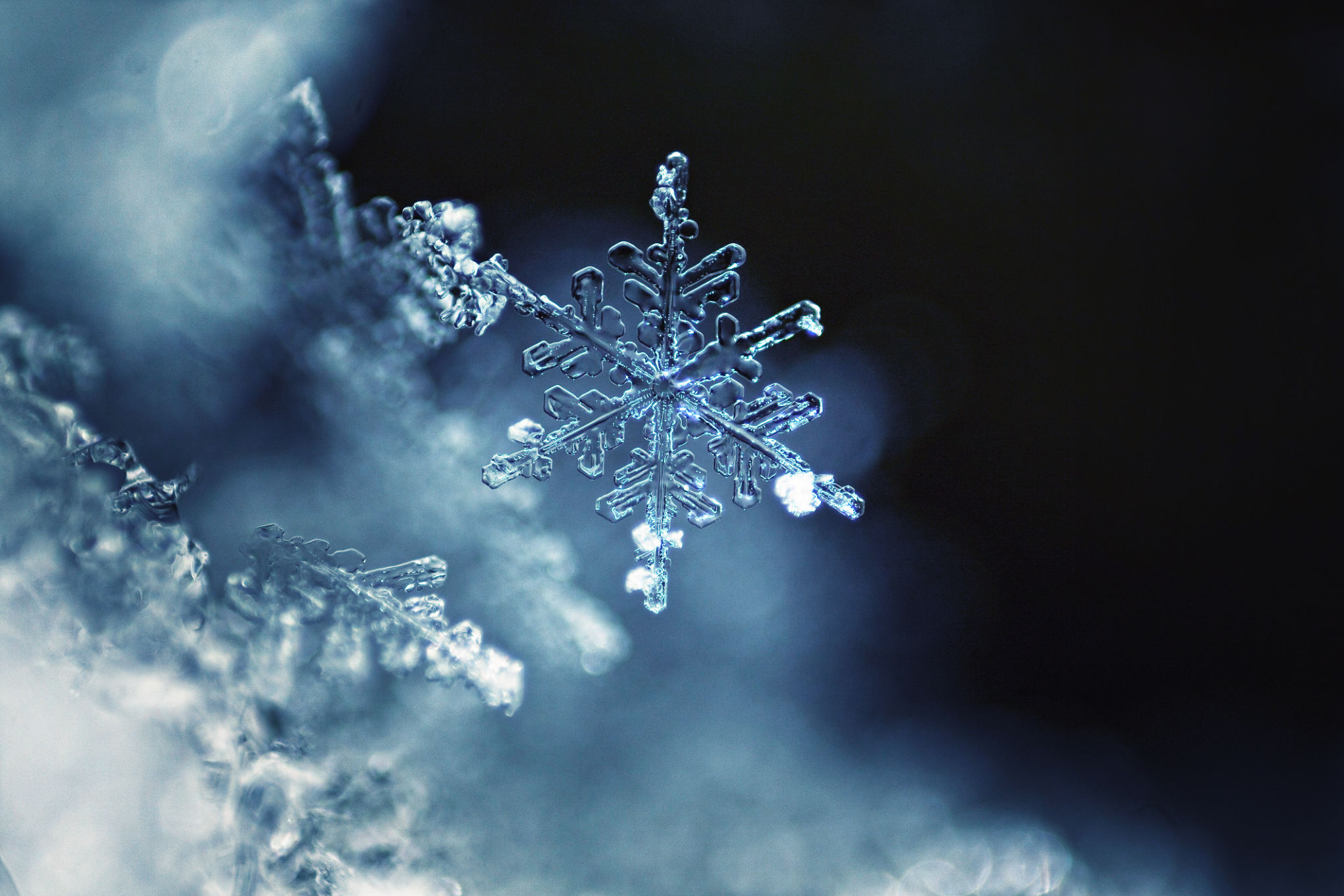 winter snowflake tattoo