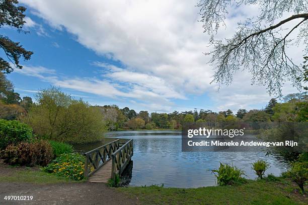 lake view from mount stewart garden - county down stock pictures, royalty-free photos & images